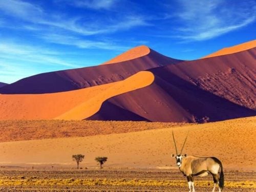 nambia namib desert