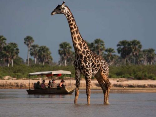 Selous Reserve Tanzania