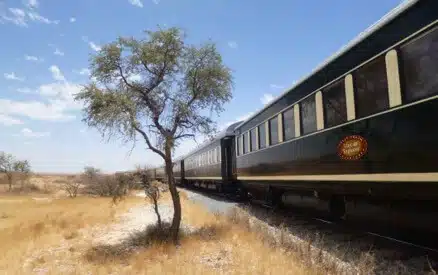 African Explorer gallery 3