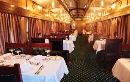 African Explorer gallery 5