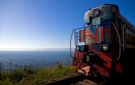 Golden Eagle Gallery 1