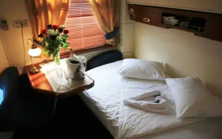 Golden Eagle Gallery 5