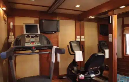 Golden Chariot luxury train India gallery 8