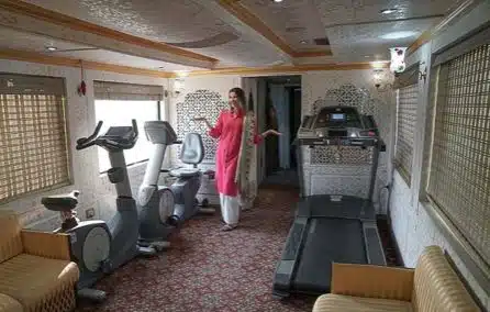 Palace on Wheels luxury train India gallery image 2