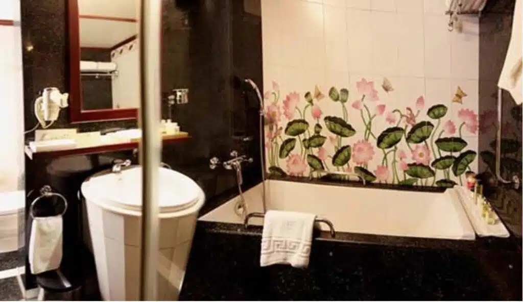 maharajas express presidential suite cabin image 3