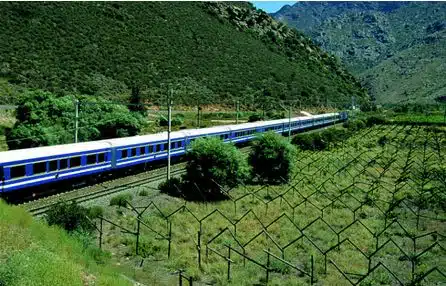 blue train gallery image 1