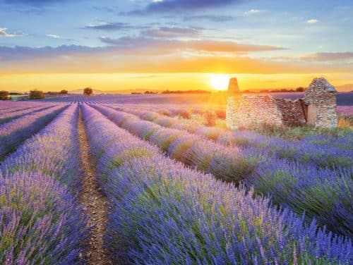 Provence
