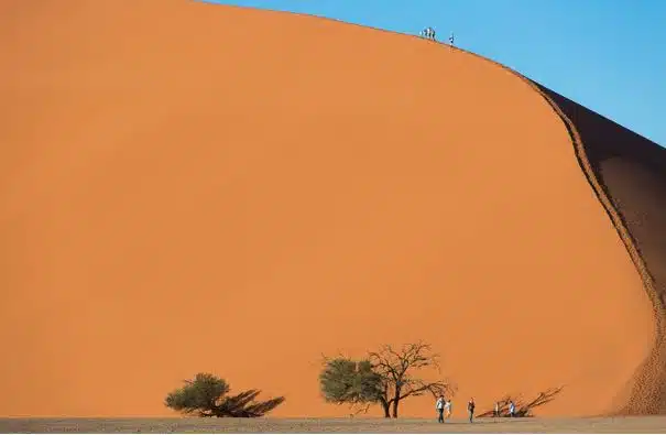 Scenic railway journeys rovos namibia