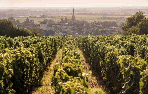 France Luxury Trains Burgundy LTTC