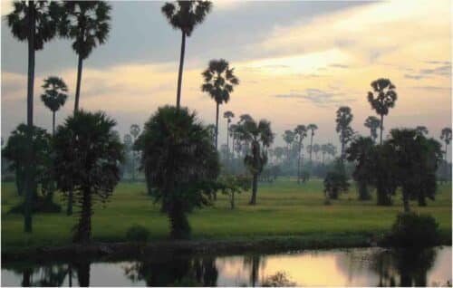 Classic Malaysian Scenery