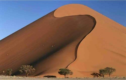 Classic Namib Desert Sand Dune