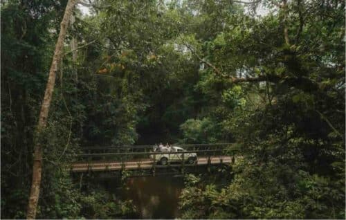 Exploring Taman Negara National Park In Malaysia