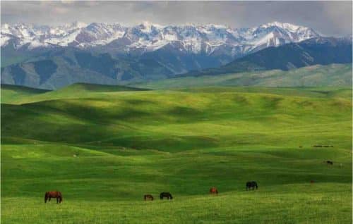Kazakhstan Open Steppe And Mountains