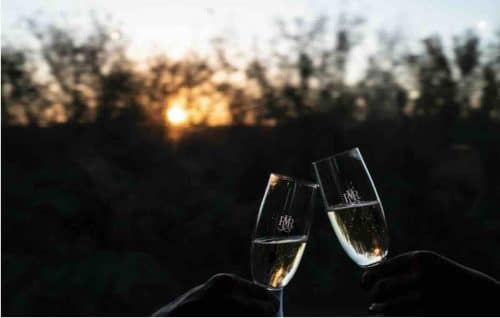 Rovos Rail Celebration