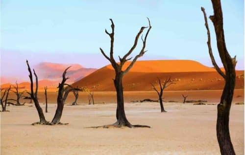 Sossusvlei Namibia Dead Trees And Dunes