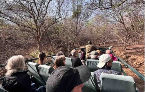 Tiger Safari Ranthambore National Park